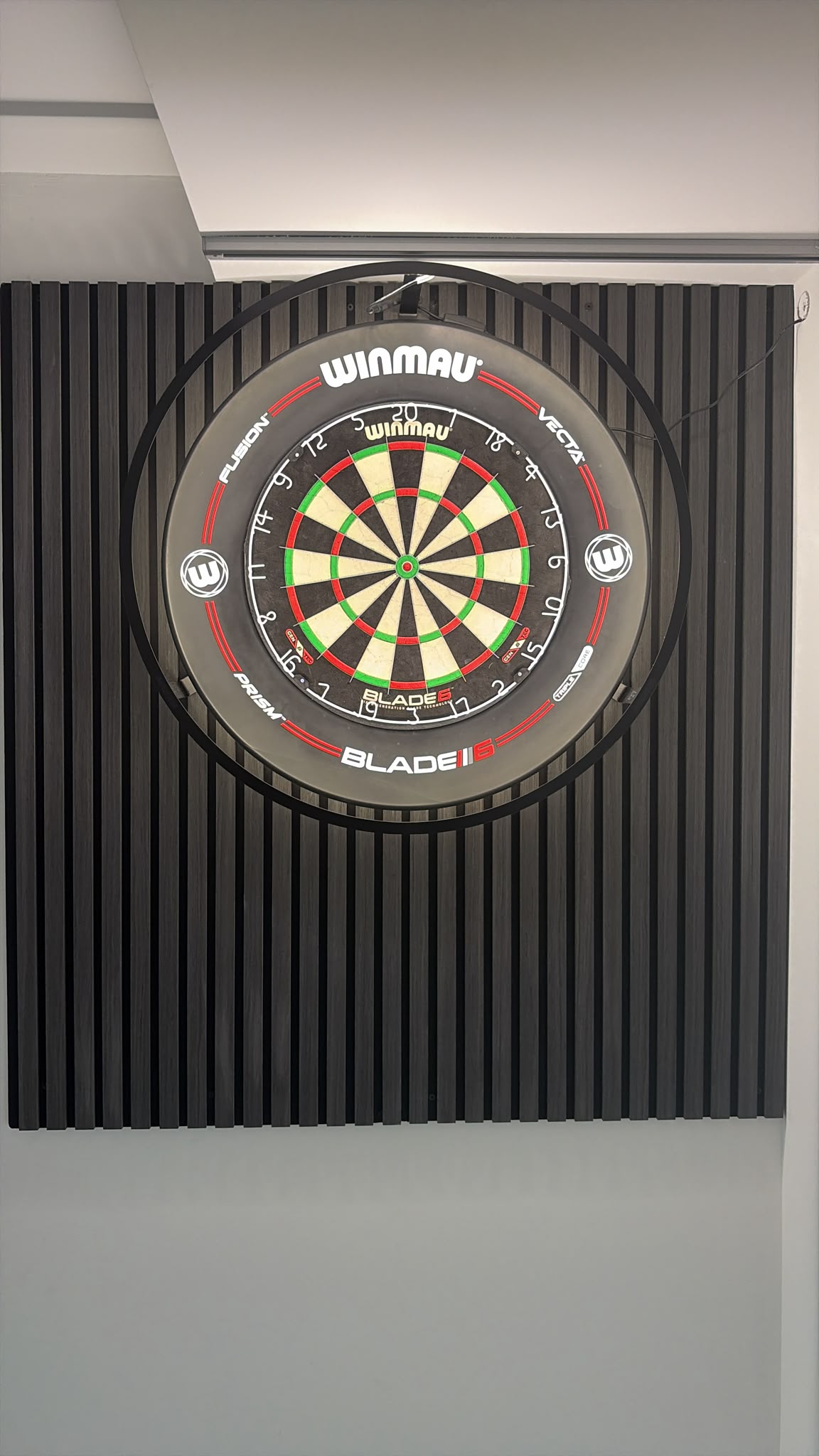 Dart-Scheibe Winmau
